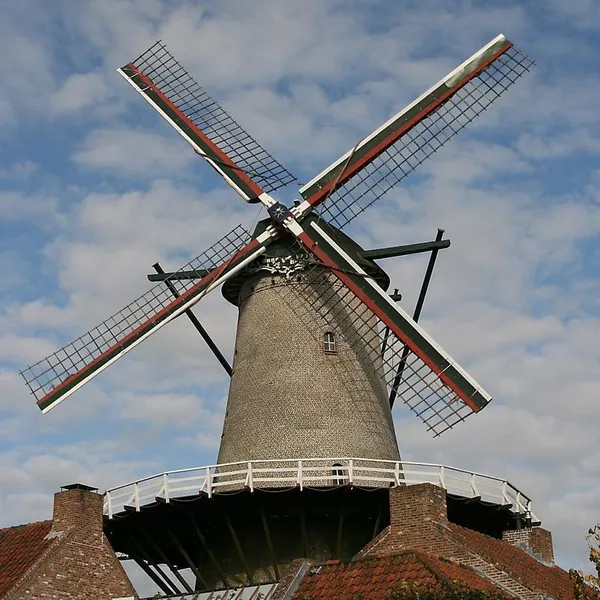 Image 4