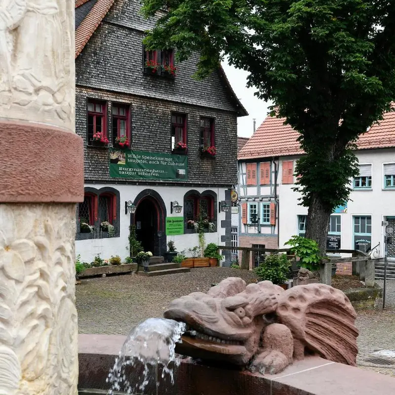 Foto 1