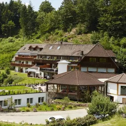 Foto 1