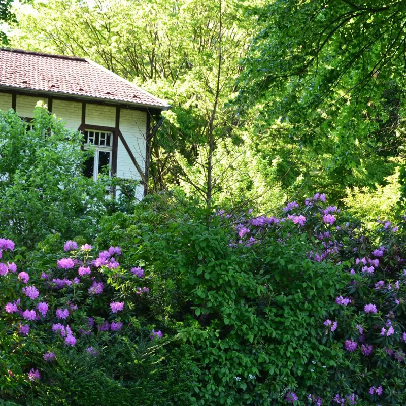 Foto 2