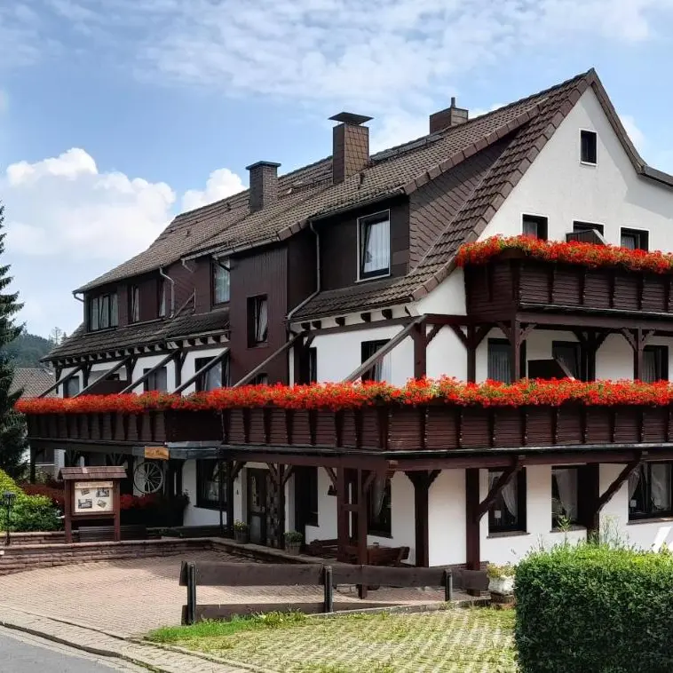 Foto 2