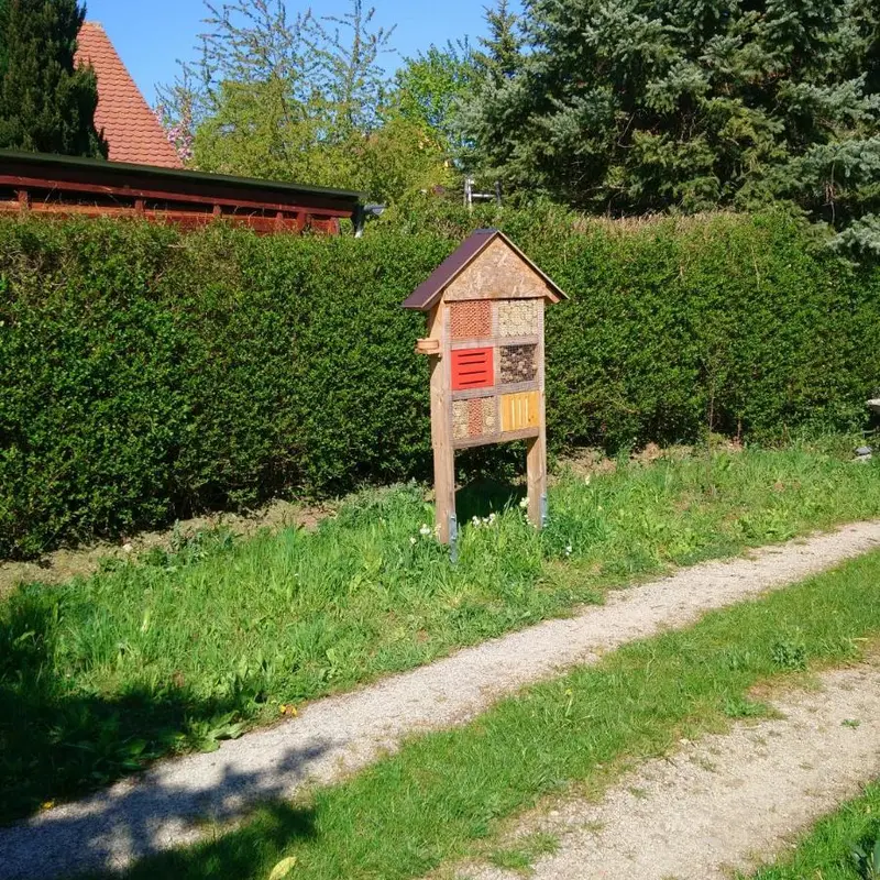 Foto 4