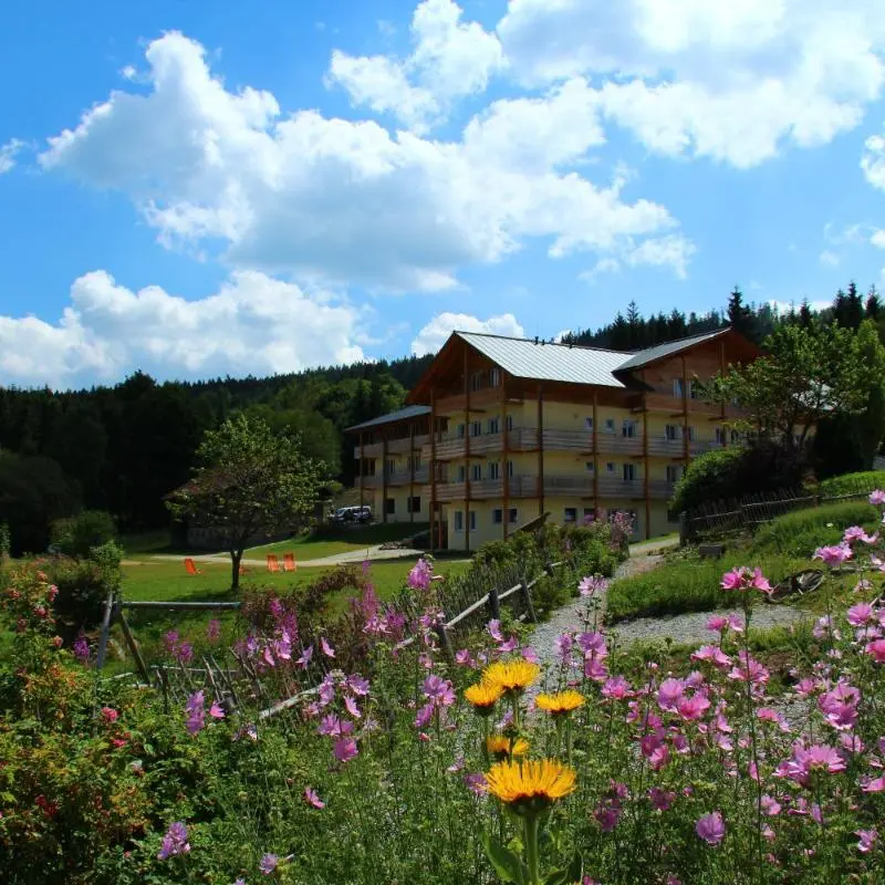 Foto 2