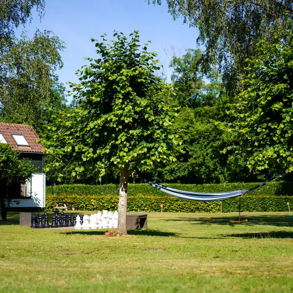 Image 23