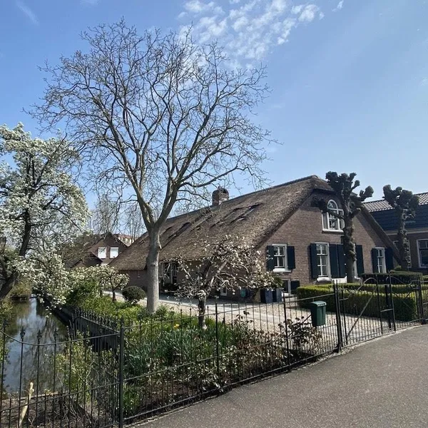 Image 20