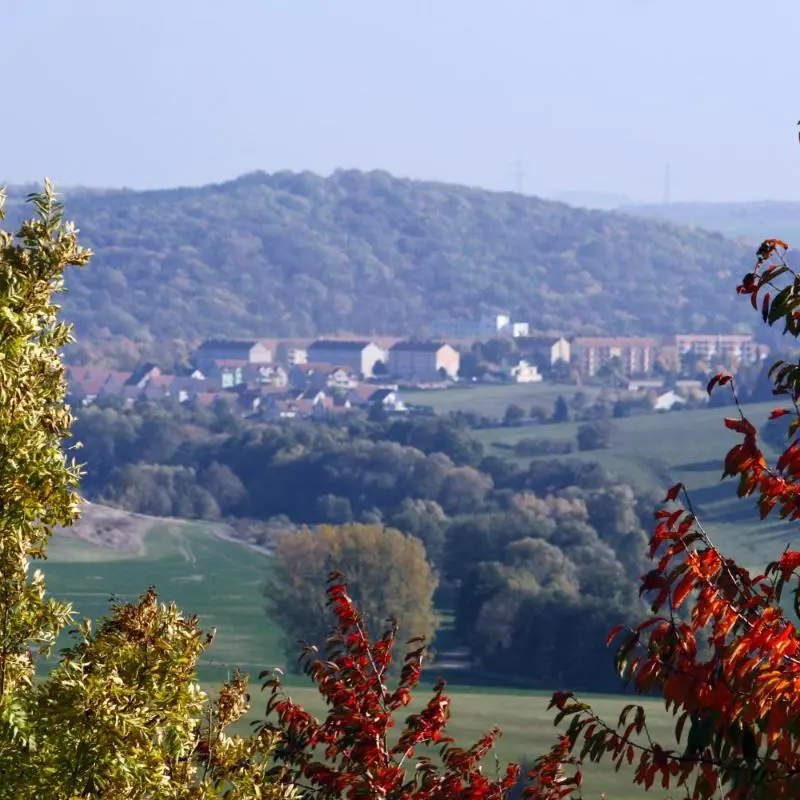 Foto 5