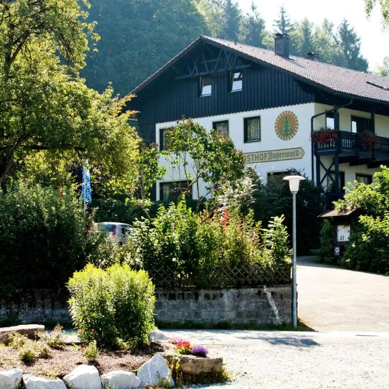 Foto 1