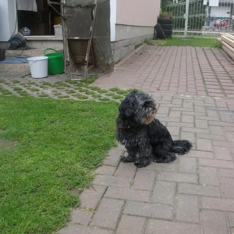 Foto 3