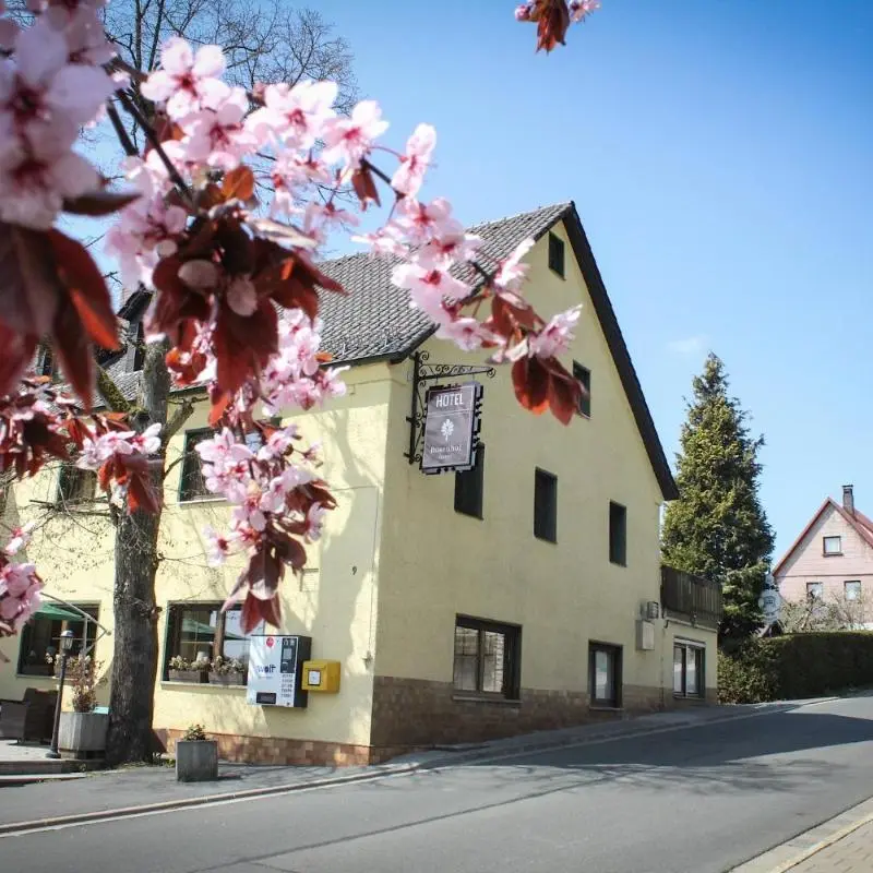 Foto 1