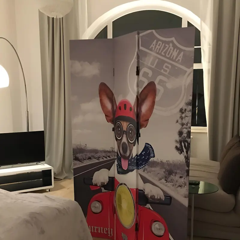 Foto 5