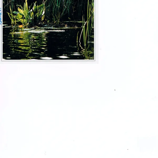 Image 16