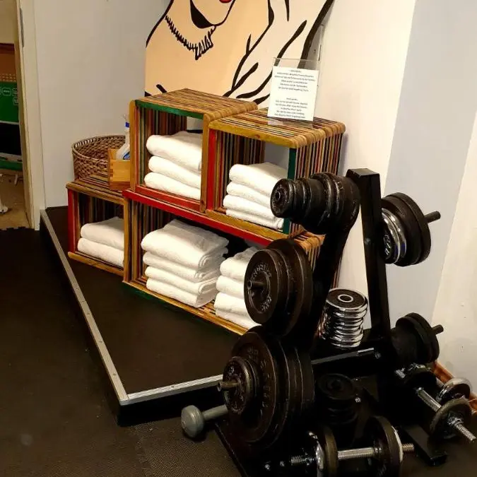 Image 7