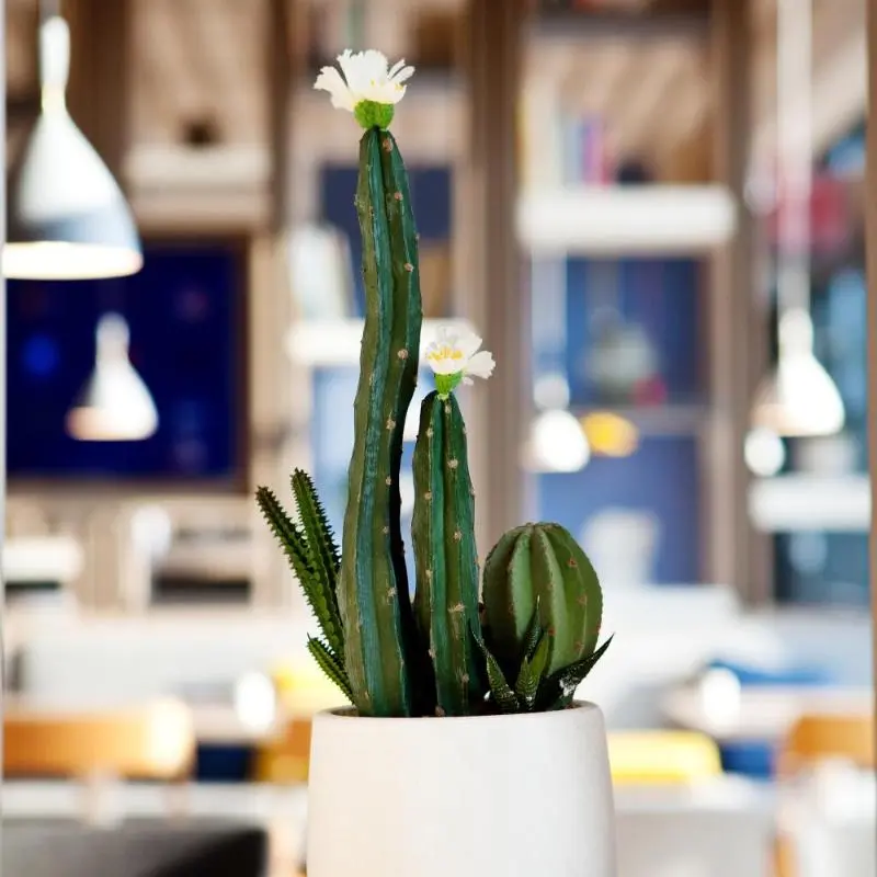 Holiday Inn Express - Düsseldorf Airport in Düsseldorf