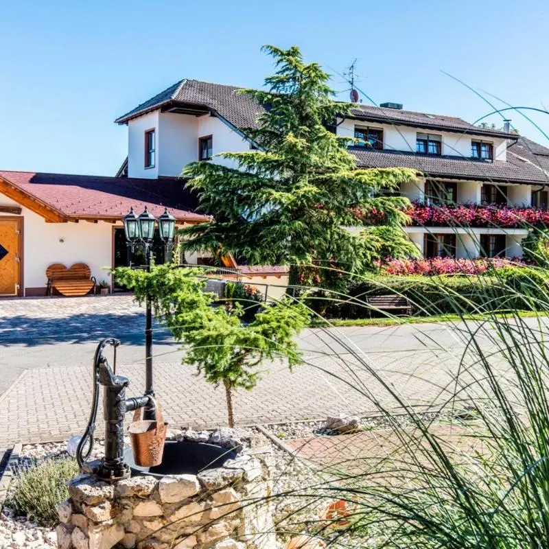 Hotel Restaurant Krone & Wellness - Schopfheim in Schopfheim