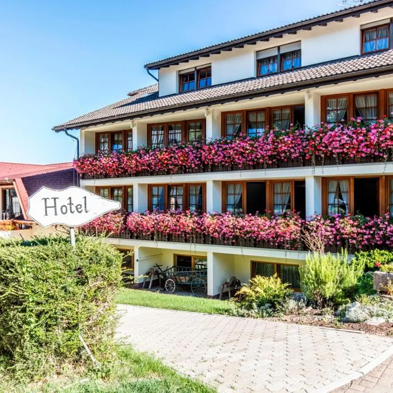 Hotel Restaurant Krone & Wellness - Schopfheim in Schopfheim