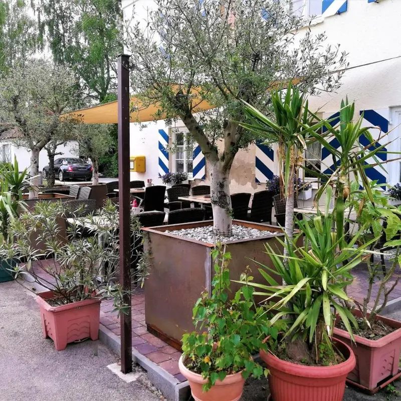 Foto 4