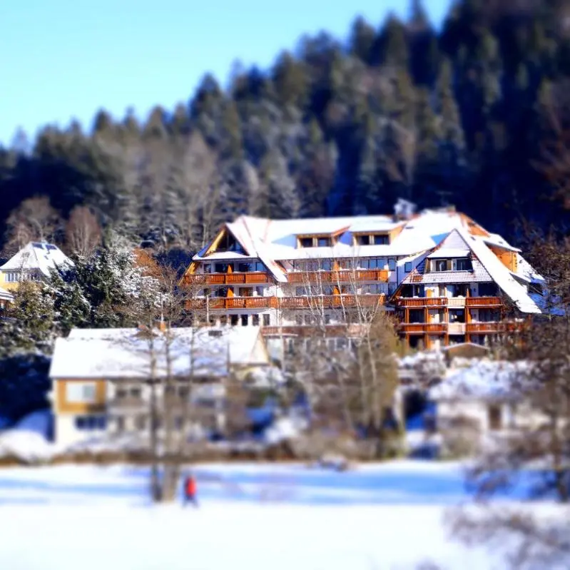 Foto 4