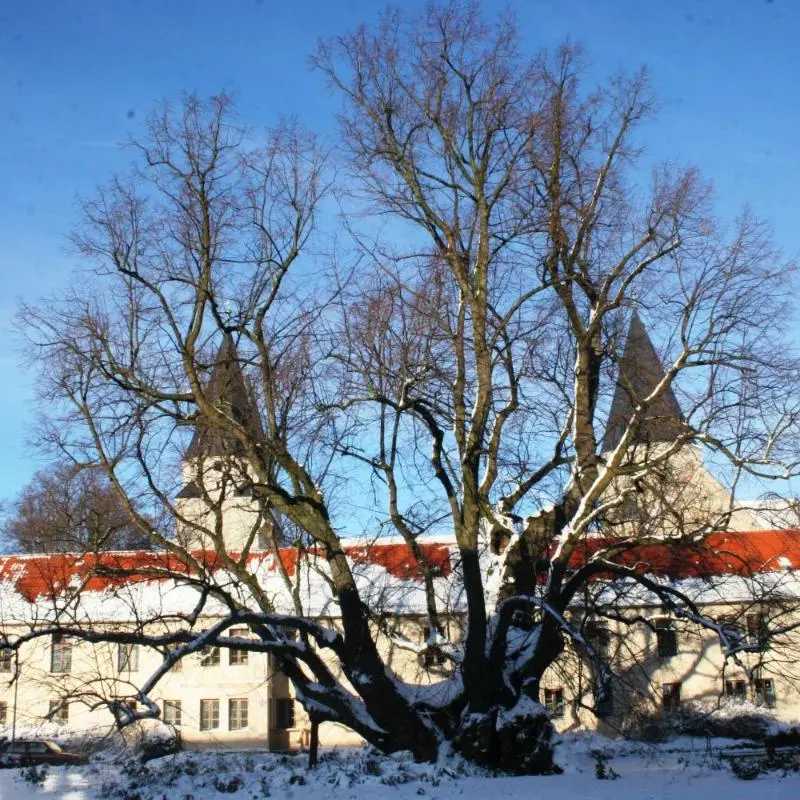 Kärntner Stub'n in Königslutter am Elm
