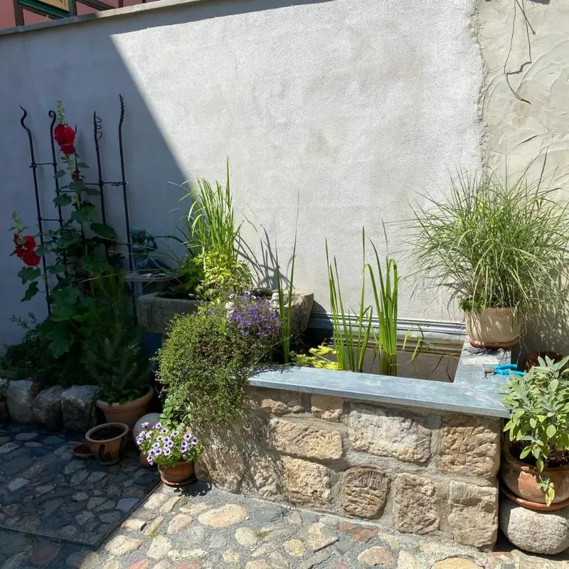 Foto 5