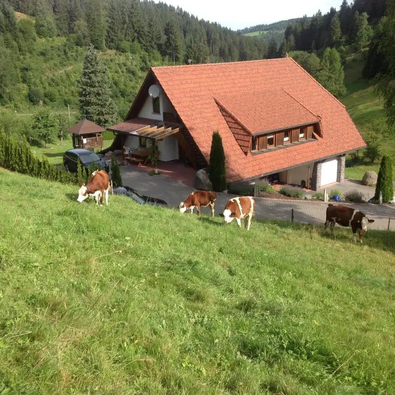 Foto 5
