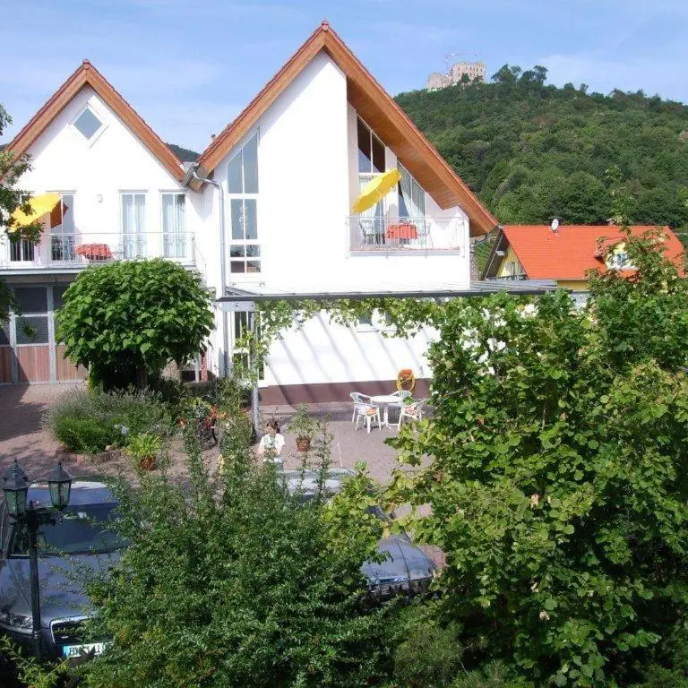 Foto 1