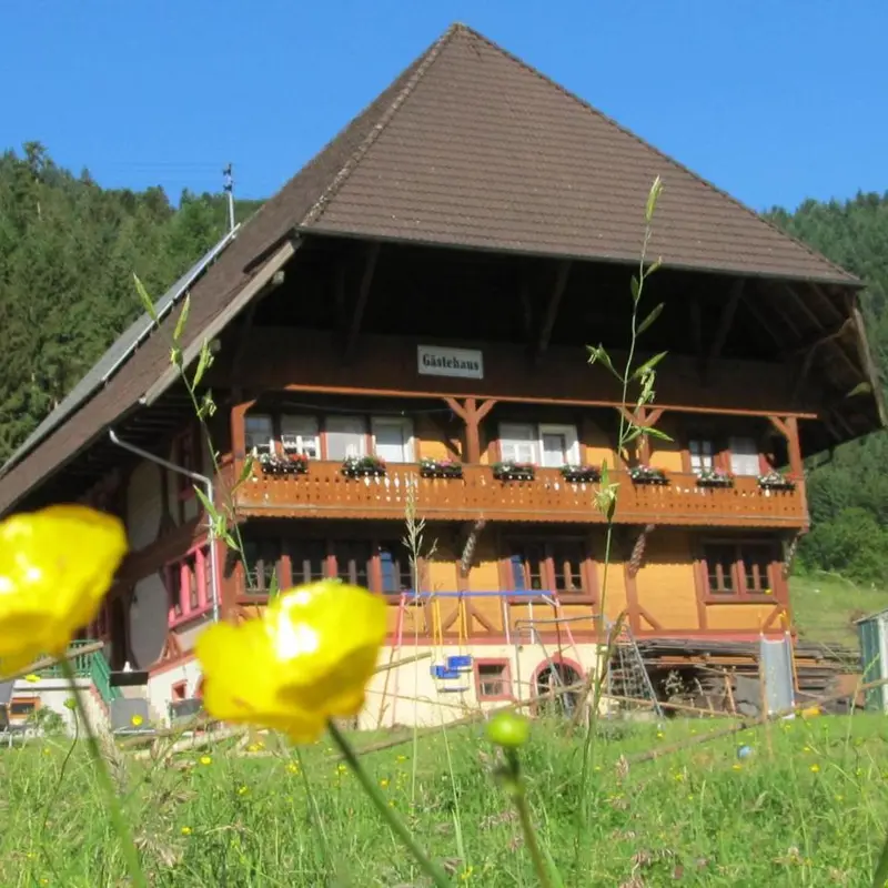 Foto 1