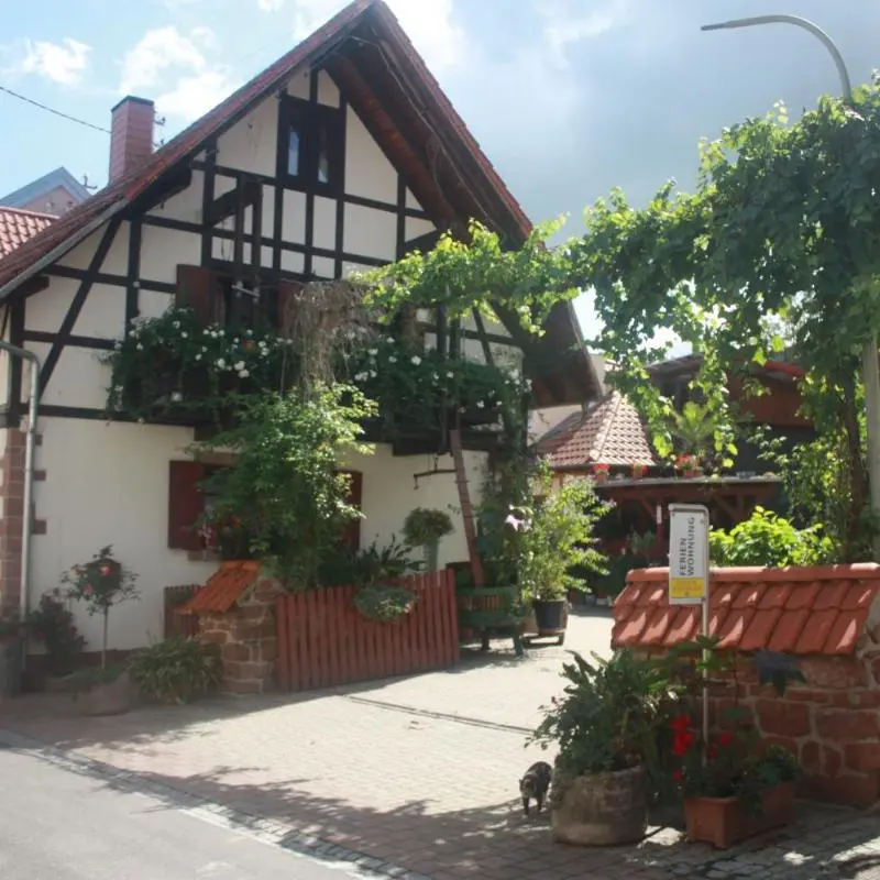 Foto 1