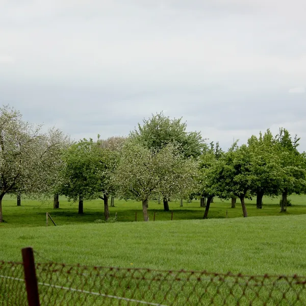 Image 16
