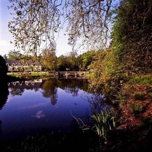 Image 10