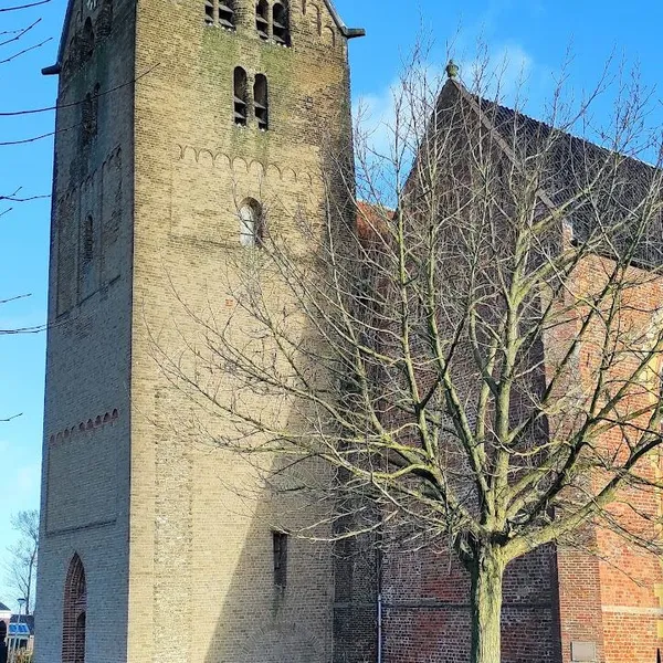 Image 5