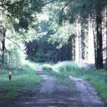 Image 35